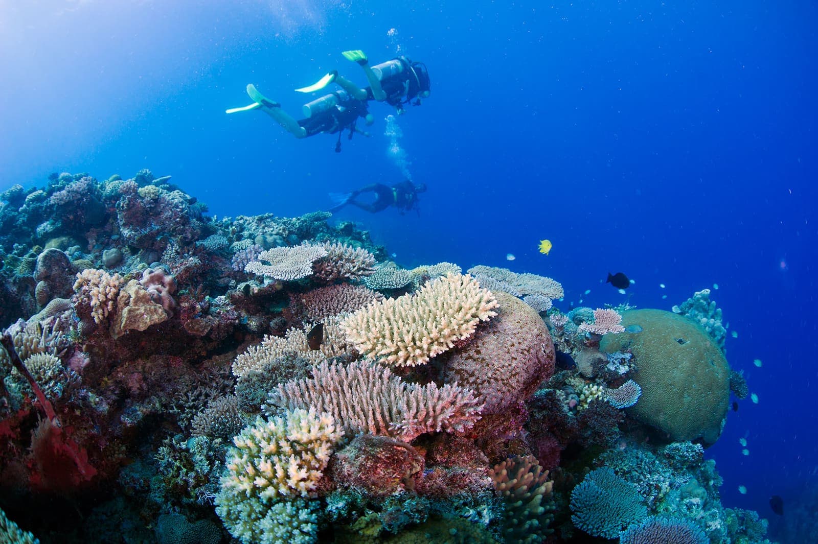 Blue Lagoon diving